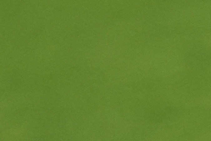 Canales se convirtió en el futbolista mejor pagado de la Liga MX. JULIO CESAR AGUILAR-Getty Images.