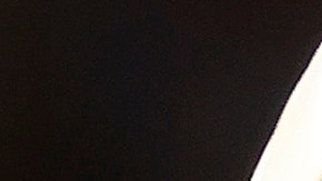 Shohei Ohtani seguirá en los Angels hasta el final de temporada.