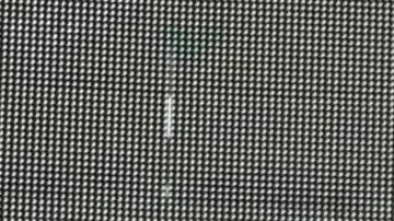 Reinaldo Rueda lució la camiseta de La Bicolor.