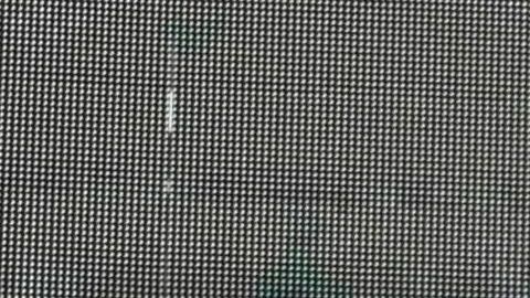 Reinaldo Rueda lució la camiseta de La Bicolor.