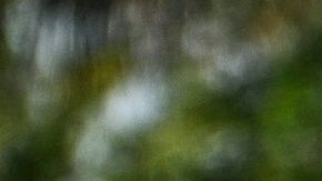 Inter Miami en prácticas antes del juego ante Orlando City.