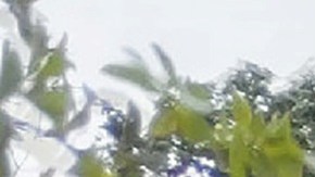 Fuerte tifón paraliza el tráfico aéreo en el sur de Japón, deja 220.000 casas sin luz y un muerto