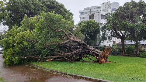 Fuerte tifón paraliza el tráfico aéreo en el sur de Japón, deja 220.000 casas sin luz y un muerto