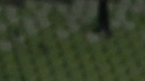 Marta y la selección de Brasil fueron eliminadas en la fase de grupos.
