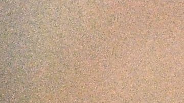 Neymar Jr., delantero brasileño durante la pretemporada 23/24 del PSG.