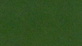 Twila Kilgore durante una sesión de entrenamiento junto a Vlatko Andonovski (c).