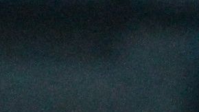 La jugadora con más seguidores al culminar la Copa del Mundo femenil fue Alisha Lehmann.