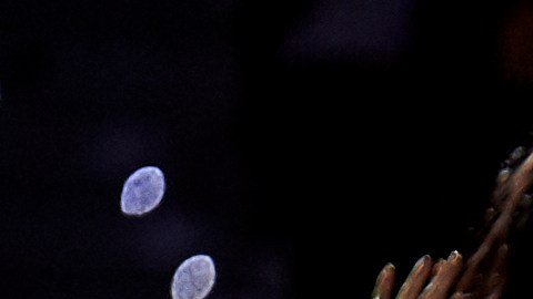 Manuel Turizo en su show durante la final de la Kings League, en Madrid, España.