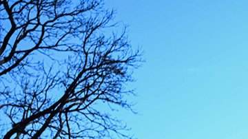 Las muertes por incendios forestales en Hawaii llega a 106 y continúa la búsqueda de desaparecidos