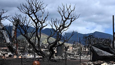 Hawaii sube a 111 los muertos por los incendios y difunde los nombres de los primeros cuerpos identificados