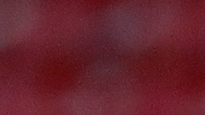 Tecatito Corona no se ha establecido en Sevilla.