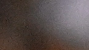 Lionel Messi en la victoria del Inter Miami contra Dallas.