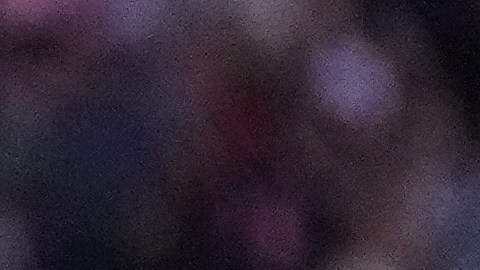 Lionel Messi es la figura absoluta del Inter Miami.