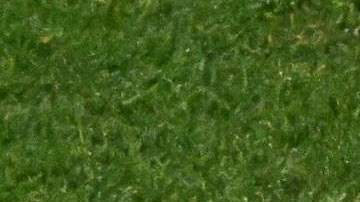 España venció a Suecia en las semifinales.