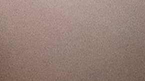 Millones de abejas caen de camión que las transportaba en Canadá y desatan alerta