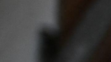 Anuncio de donaciones en Hawaii.