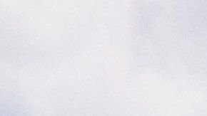 Lanza página web para desmentir rumores y estafas ante tragedia por incendios forestales en Hawaii