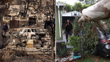 Hawaii (izquierda) y California (derecha) enfrentan consecuencias de dos desastres, una por incendios y otra por el paso de la tormenta Hilary.