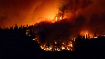 El incendio forestal de McDougall Creek arde en las colinas de West Kelowna, Columbia Británica, Canadá.