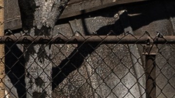 Alertan que el agua de Maui no es segura incluso con filtros