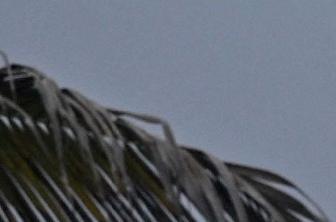 Una familia camina por la playa en Los Cerritos en La Paz, Baja California, México, durante el paso del huracán Hilary, el 19 de agosto de 2023.