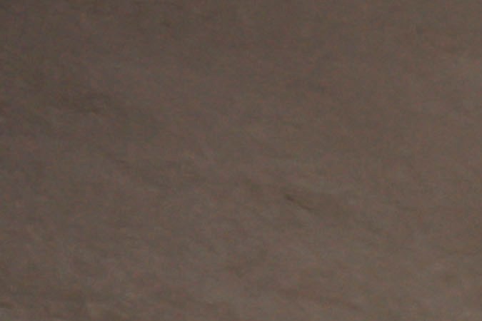 Presidencia de Ecuador sin definirse, Luisa González y Daniel Noboa disputarán segunda vuelta