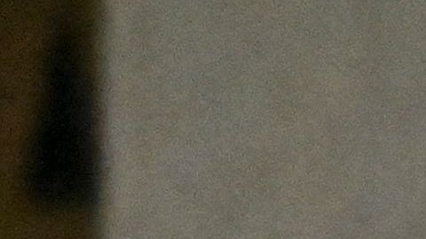 Presidencia de Ecuador sin definirse, Luisa González y Daniel Noboa disputarán segunda vuelta