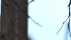 Joe Biden y primera dama visitan Maui para escuchar a sobrevivientes tras los devastadores incendios forestales