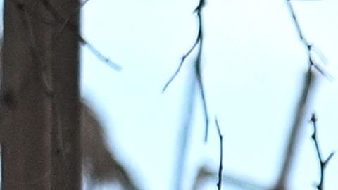 Joe Biden y primera dama visitan Maui para escuchar a sobrevivientes tras los devastadores incendios forestales