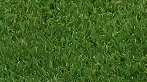 Rubiales ha estado en el centro de las críticas por sus acciones en la final del Mundial femenil.