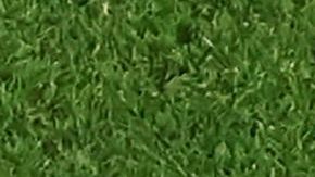 Rubiales está en el centro de las críticas por sus actitudes sobre las futbolistas de España.