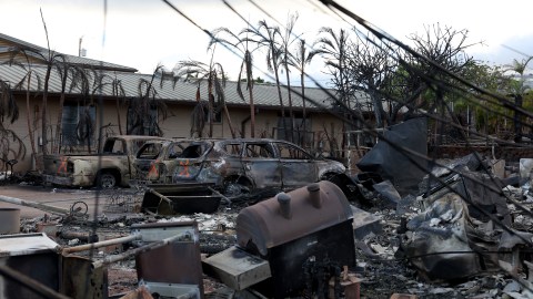 Gobierno suma más de 3.8 millones de dólares para los afectados por incendios en Maui