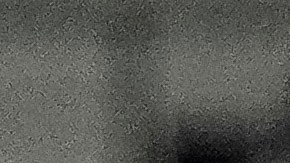 Shohei Ohtani tiene 42 cuadrangulares en lo que va de temporada.