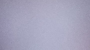 Inter Miami jugará la final de la Leagues Cup.