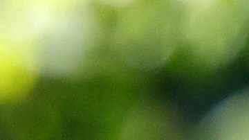 Los presidentes Yoon Suk Yeoly y Joe Biden y la primera ministra japonesa, Kishida Fumio realizaron una cumbre en Camp David el 18 de agosto de 2023.