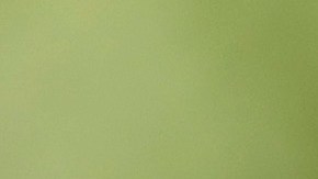 El presidente Biden promovió el nuevo plan de alivio de los préstamos estudiantiles.