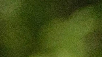 El presidente Biden celebró una cumbre con los primeros ministros japonés y coreano en Camp David.