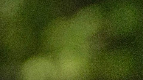 El presidente Biden celebró una cumbre con los primeros ministros japonés y coreano en Camp David.