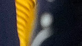 Isaiah Bolden colapsó en plena jugada.