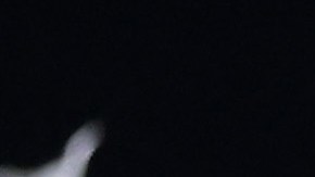 Lionel Messi y el Inter Miami levantan la Leagues Cup.