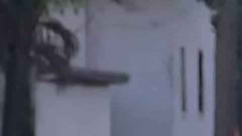 Tiroteo en Florida: Identifican al pistolero que mató a tres personas por motivos raciales en Jacksonville