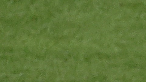 Olga Carmona celebra su gol en la final.