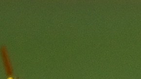 El jugador de las Águilas del América mostró su descontento por su ausencia en la lista de México para la próxima fecha FIFA