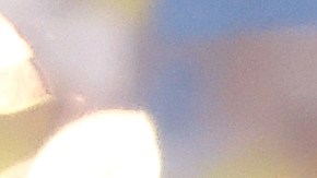 Novak Djokovic consiguió proclamarse campeón ante Carlos Alcaraz y obtuvo su revancha de la final de Wimbledon