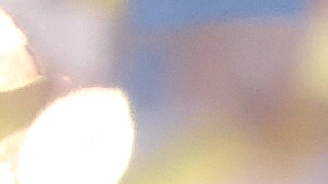 Novak Djokovic consiguió proclamarse campeón ante Carlos Alcaraz y obtuvo su revancha de la final de Wimbledon