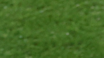 Jorge Vilda fue el entrenador de España durante el Mundial Femenino.