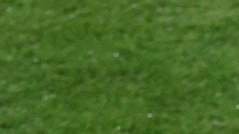 Jorge Vilda fue el entrenador de España durante el Mundial Femenino.