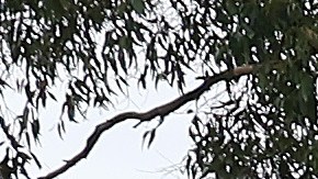 Para algunas personas la tormenta apenas inicia.