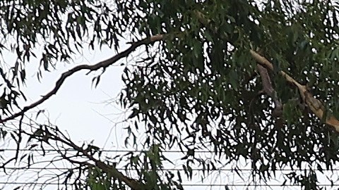 Para algunas personas la tormenta apenas inicia.