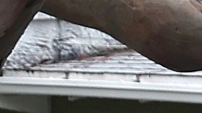 Las impactantes imágenes del paso de la tormenta tropical Hilary por México y California